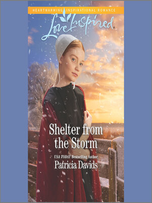 cover image of Shelter from the Storm